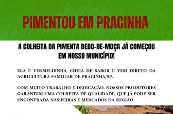 É TEMPO DE PIMENTA EM PRACINHA