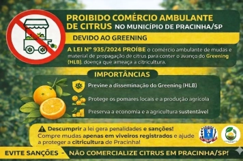 A venda ambulante de citrus está proibida em Pracinha/SP